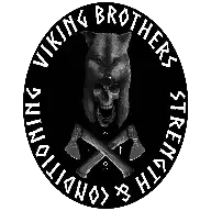 VIKING METHOD logo
